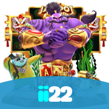 ii22 visual