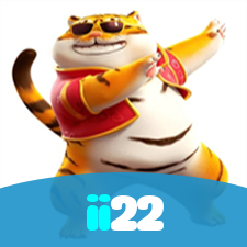 ii22 visual