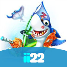 ii22 visual