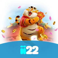 ii22 visual