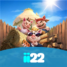 ii22 visual
